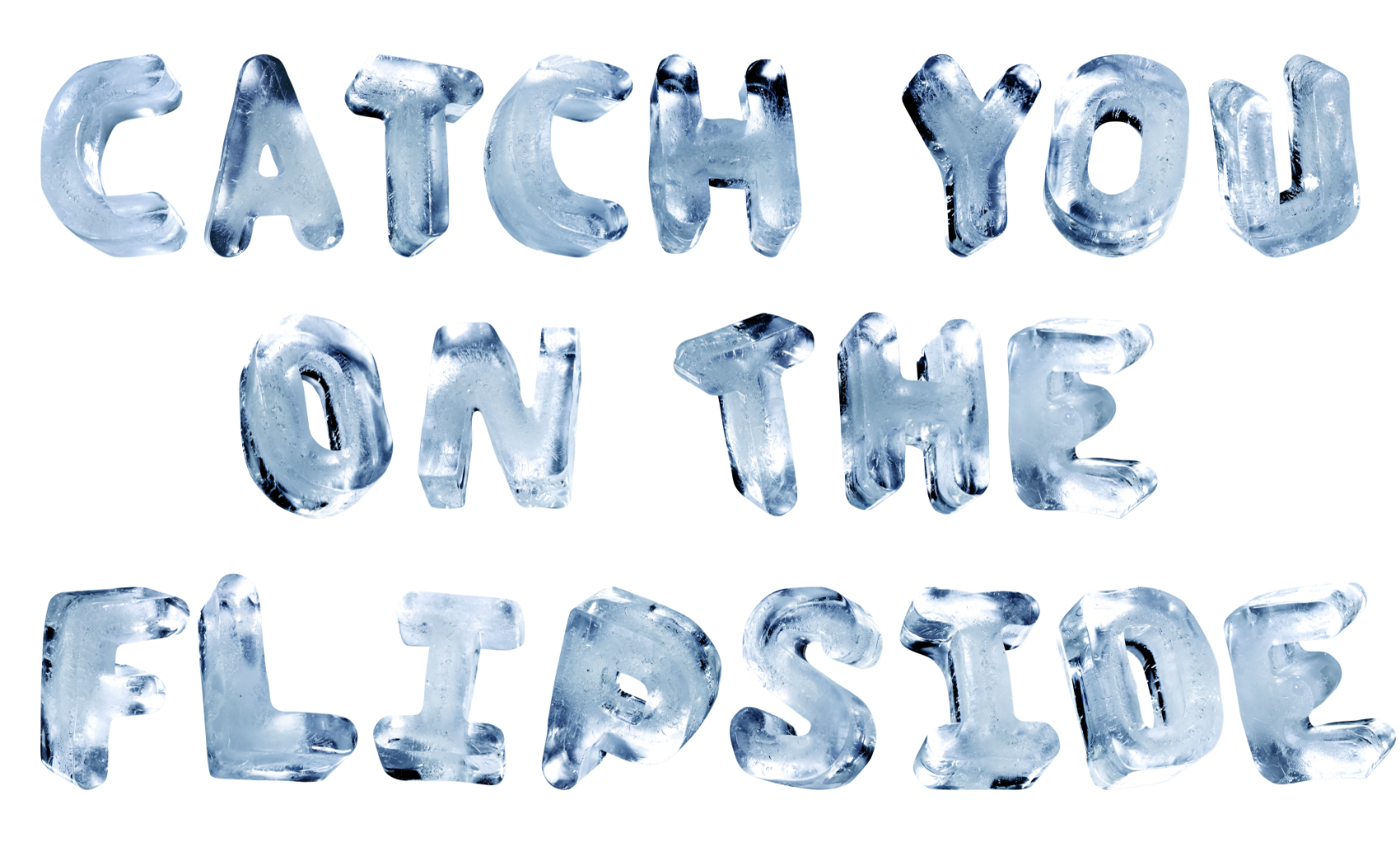 Catch you on the Flipside